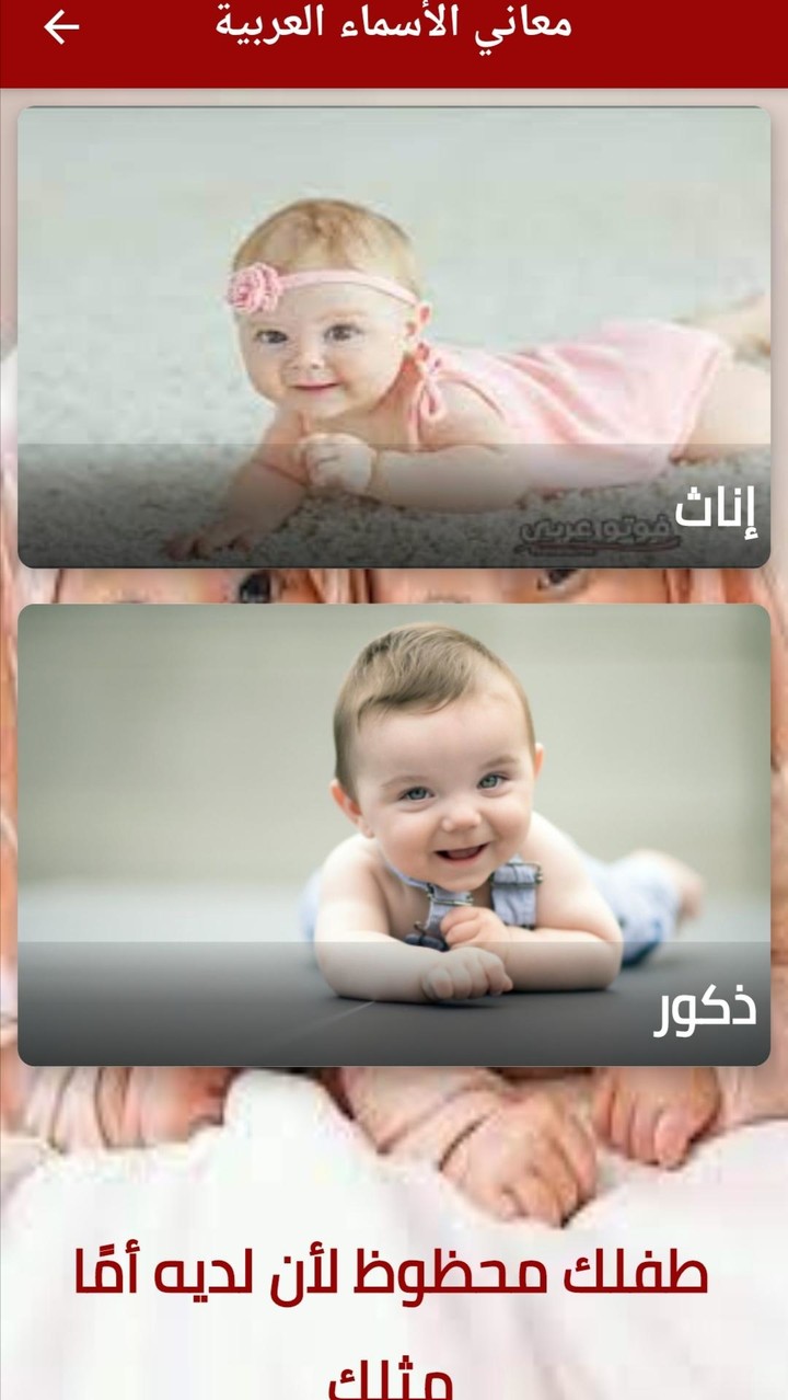 Mini Mini Farm(Get rewarded for not watching ads) screenshot image 8_Popularmodapk.com