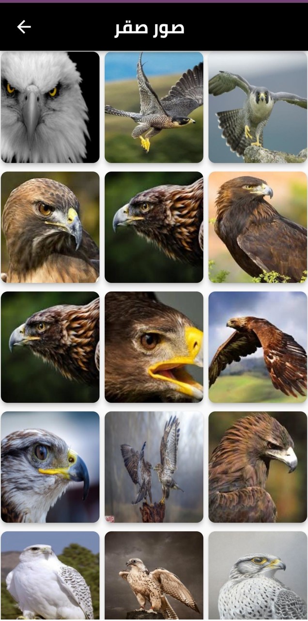 صور 4k screenshot image 7_Popularmodapk.com