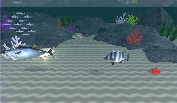 Swim in touch! SeaCreatures screenshot image 4_Popularmodapk.com