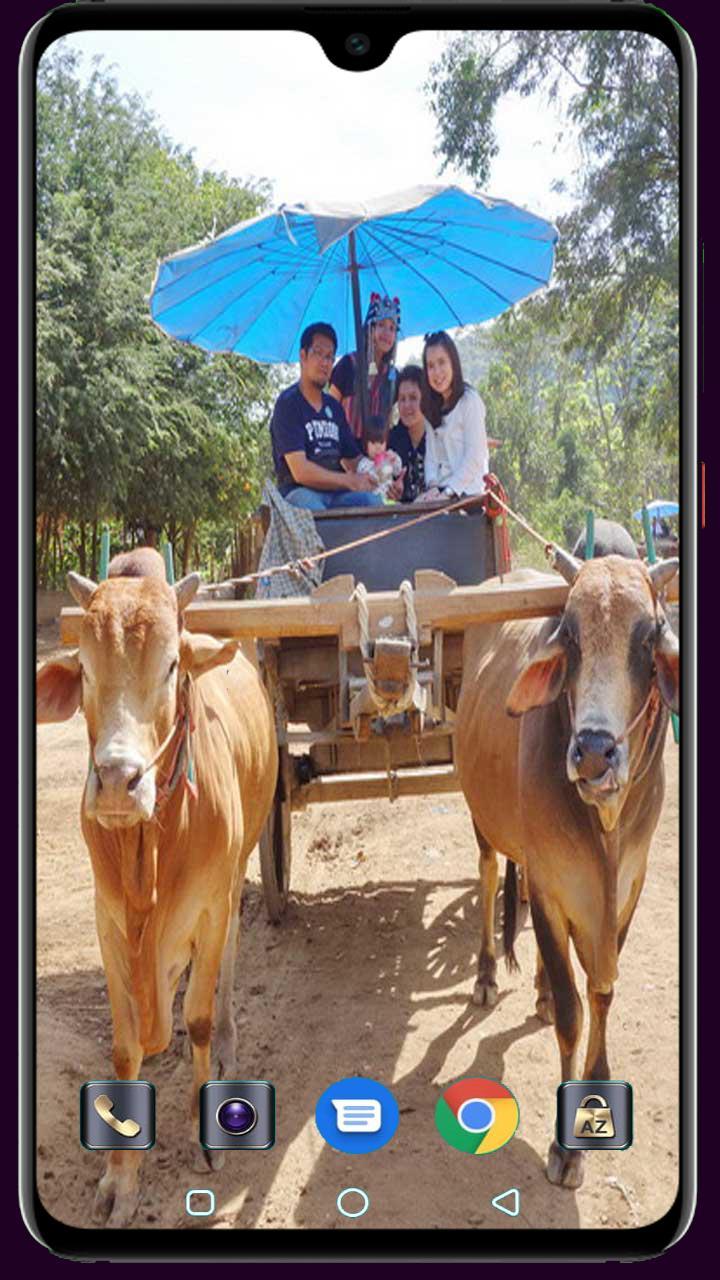 Medical Logo Maker screenshot image 23_Popularmodapk.com