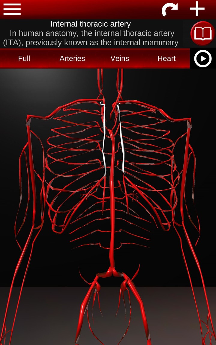 Circulatory System 3D Anatomy screenshot image 20_Popularmodapk.com