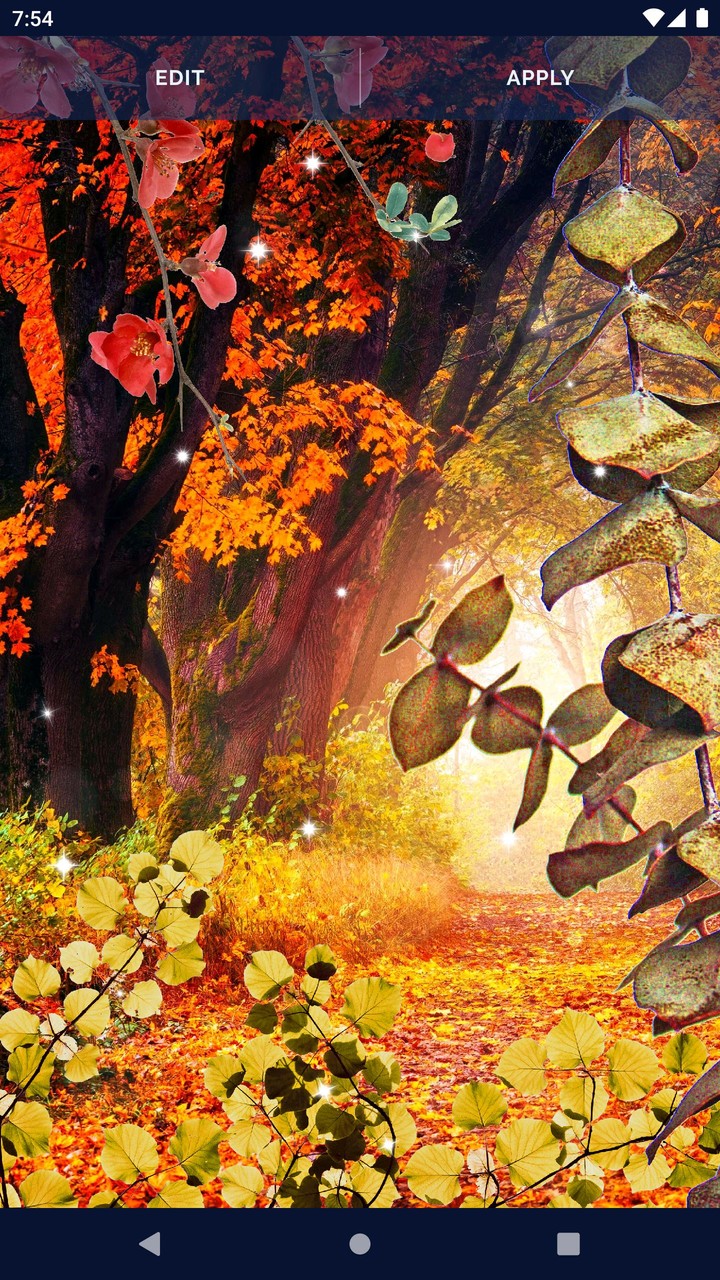 Forest Live Wallpaper screenshot image 4_Popularmodapk.com