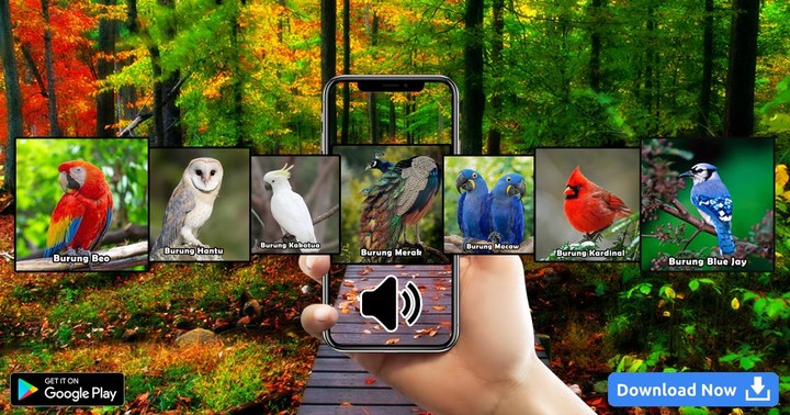 Suara Kicauan Burung screenshot image 5_Popularmodapk.com