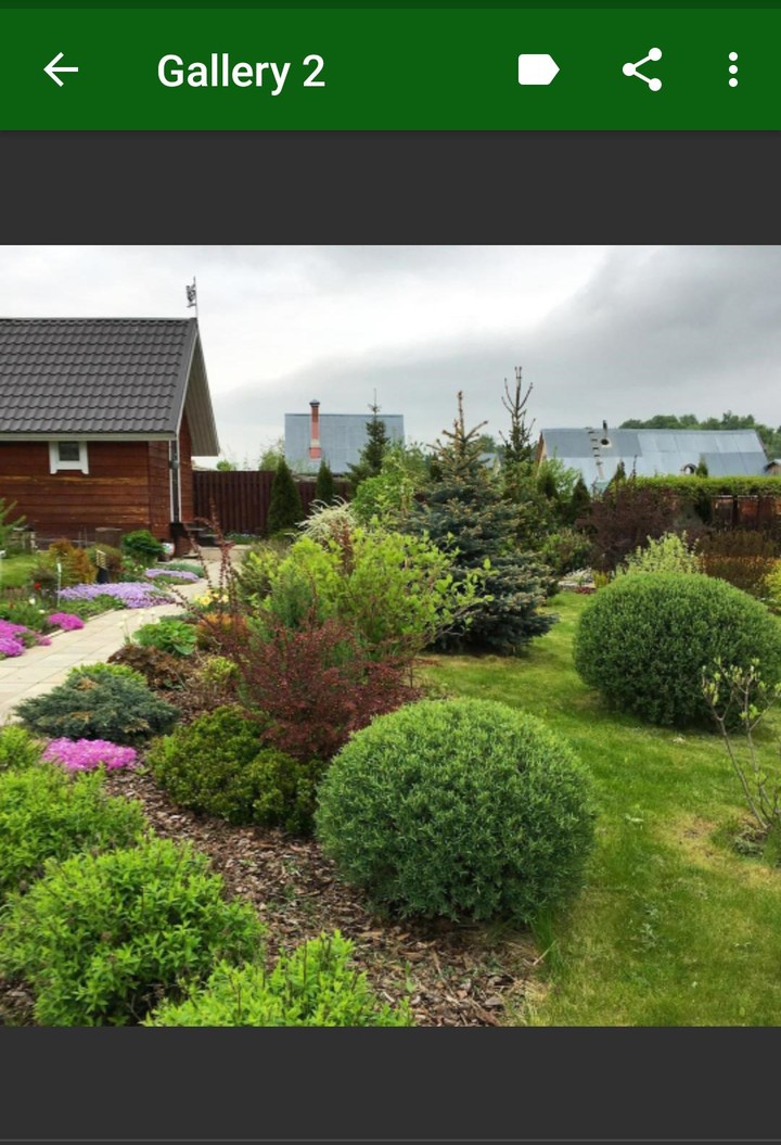 Garden Plants screenshot image 13_Popularmodapk.com