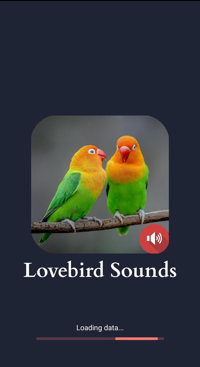 Lovebird Sounds screenshot image 1_Popularmodapk.com