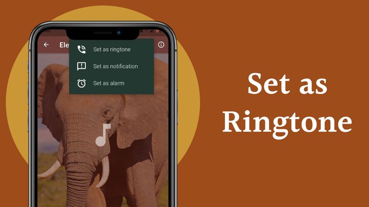 Elephant Sounds screenshot image 4_Popularmodapk.com