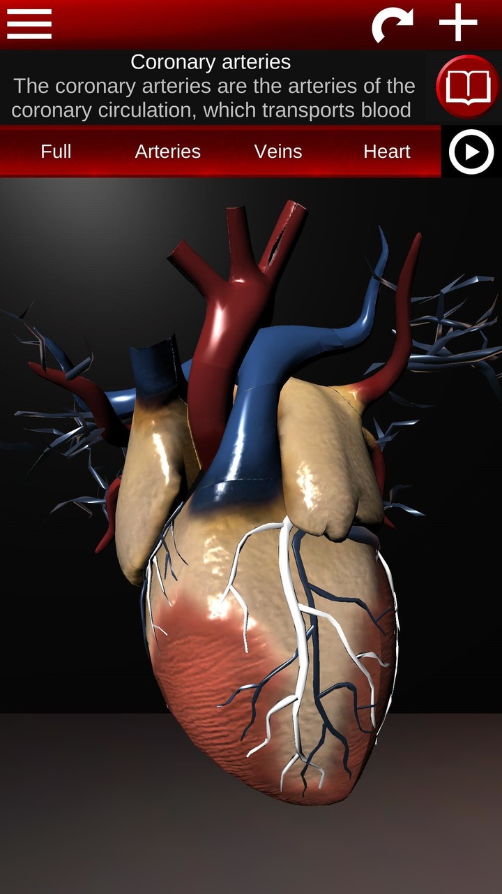 Circulatory System 3D Anatomy screenshot image 5_Popularmodapk.com