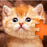 Puzzles for adults offline1.9.8_Popularmodapk.com