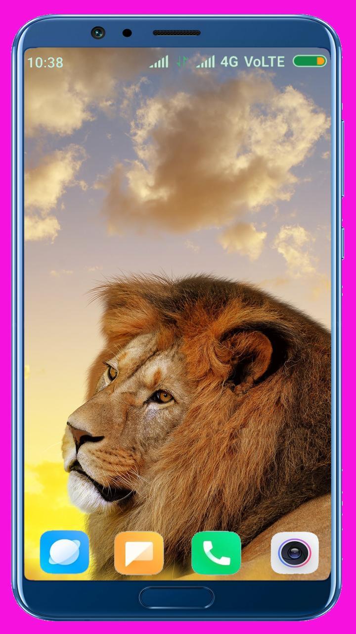 Lion HD Wallpaper screenshot image 28_Popularmodapk.com
