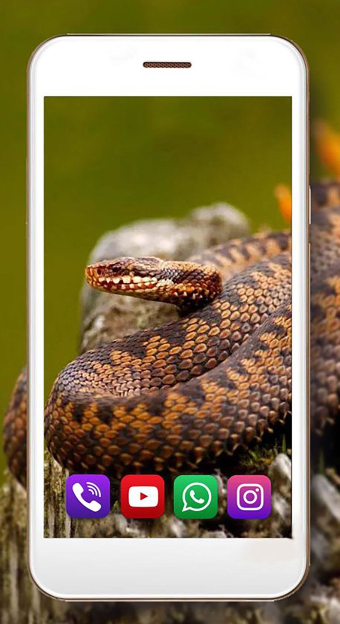 Snakes Jungles HD screenshot image 9_Popularmodapk.com