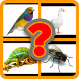 İngilizce Hayvanlar - Karma10.9.1_Popularmodapk.com