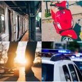 transport vehicles quiz9.3.6z_Popularmodapk.com