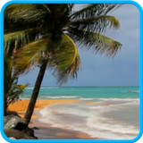 Beach and sea.2.720.0.96_Popularmodapk.com