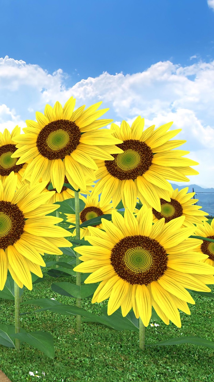 Escape Game: Obon screenshot image 3_Popularmodapk.com