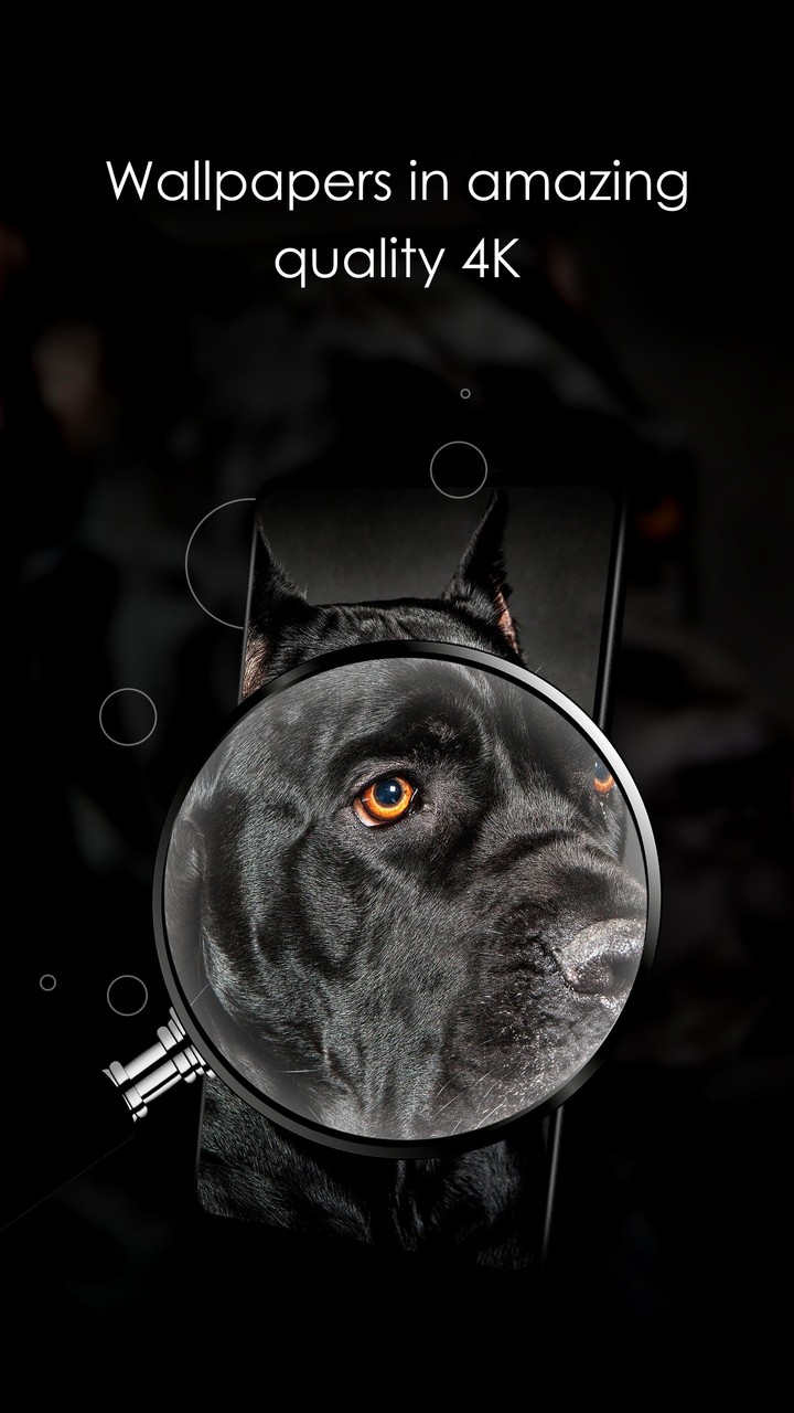 Wallpapers 4K with dogs screenshot image 4_Popularmodapk.com