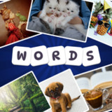 1 Pic 3 Words1.1.1_Popularmodapk.com