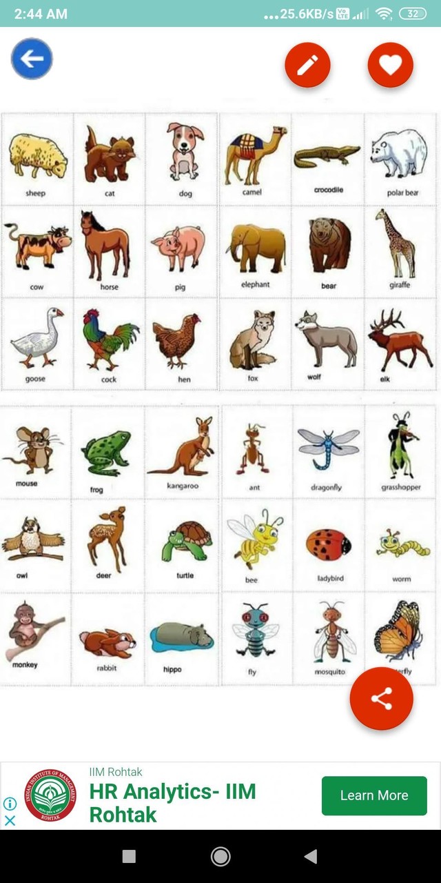 English Vocabulary: Charts, Tables with Images screenshot image 6_Popularmodapk.com