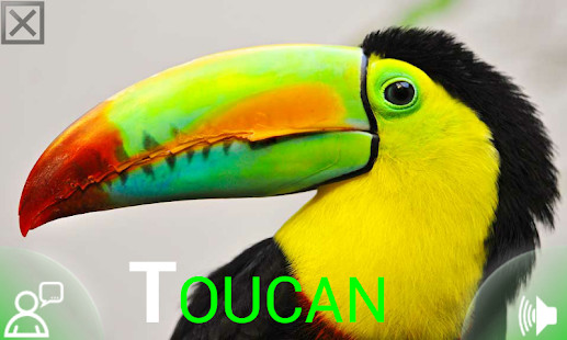 Chile TV en Vivo screenshot image 2_Popularmodapk.com