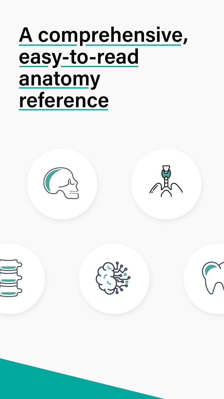 Teach Me Anatomy screenshot image 3_Popularmodapk.com