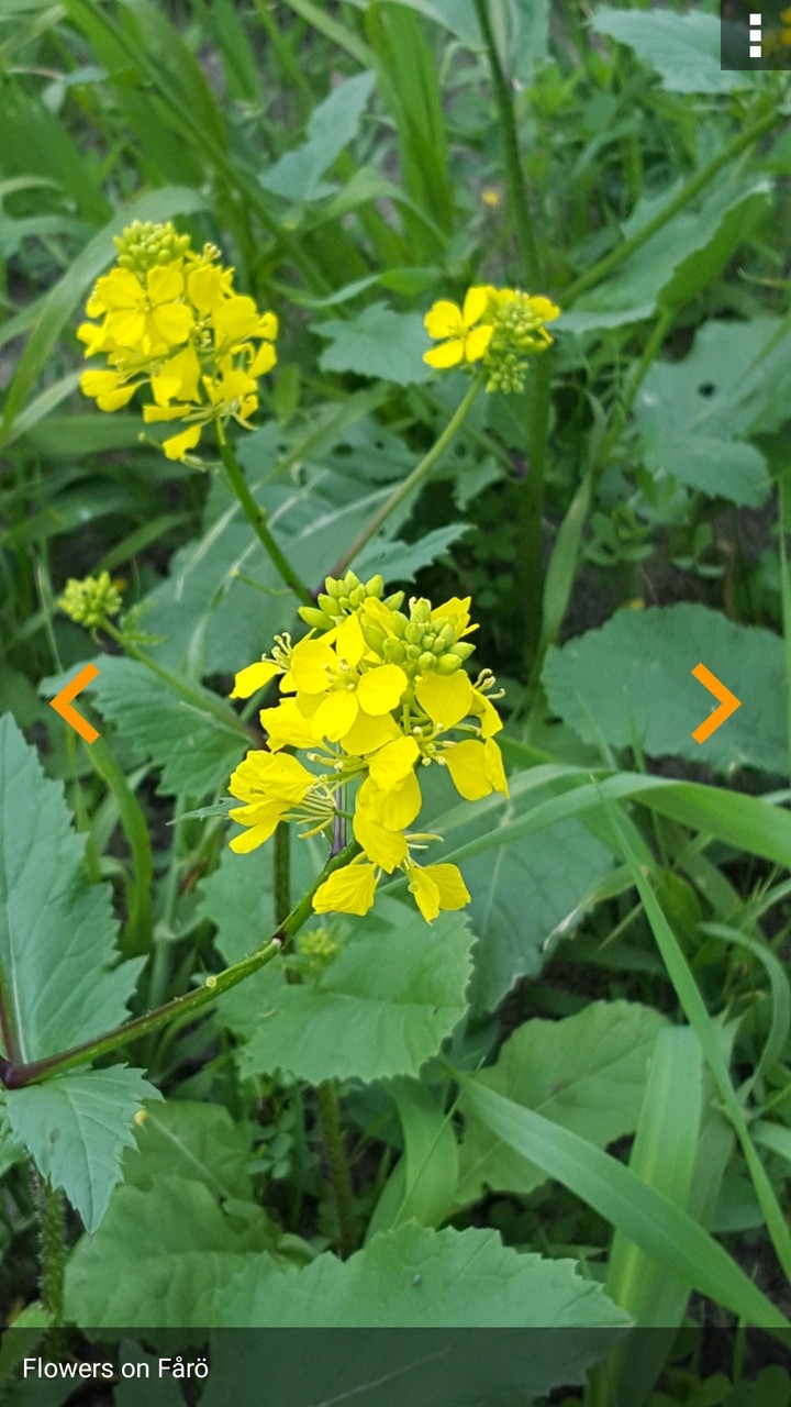 Photo gallery with notes screenshot image 2_Popularmodapk.com