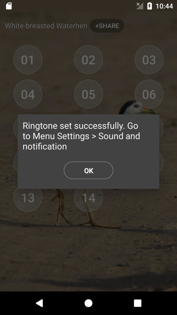 White-breasted waterhen sounds screenshot image 4_Popularmodapk.com