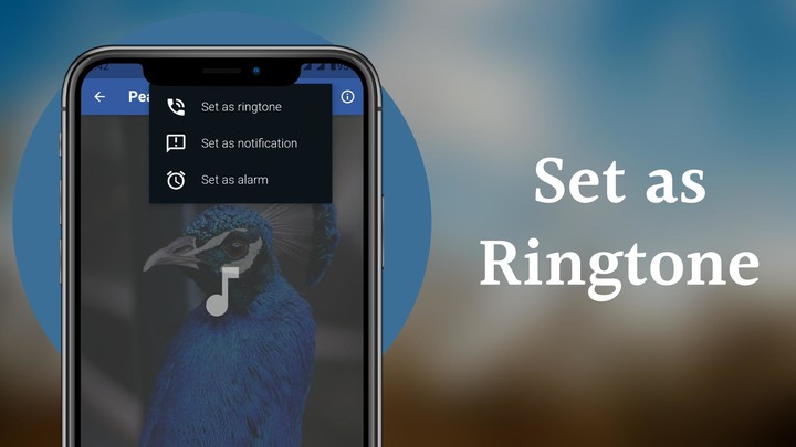 Peacock Sounds screenshot image 3_Popularmodapk.com