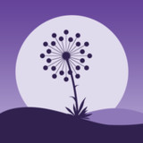 Dandelion: Antistress, Calm8_Popularmodapk.com