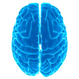 Logical test - IQ11.17_Popularmodapk.com