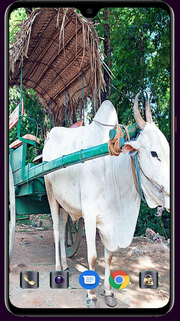 Medical Logo Maker screenshot image 28_Popularmodapk.com