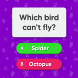 Trivia Master - Quiz Games0.0.6_Popularmodapk.com