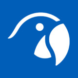 ROBINSON App3.35.1_Popularmodapk.com