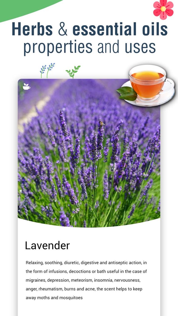 Natural Remedies: healthy life screenshot image 4_Popularmodapk.com