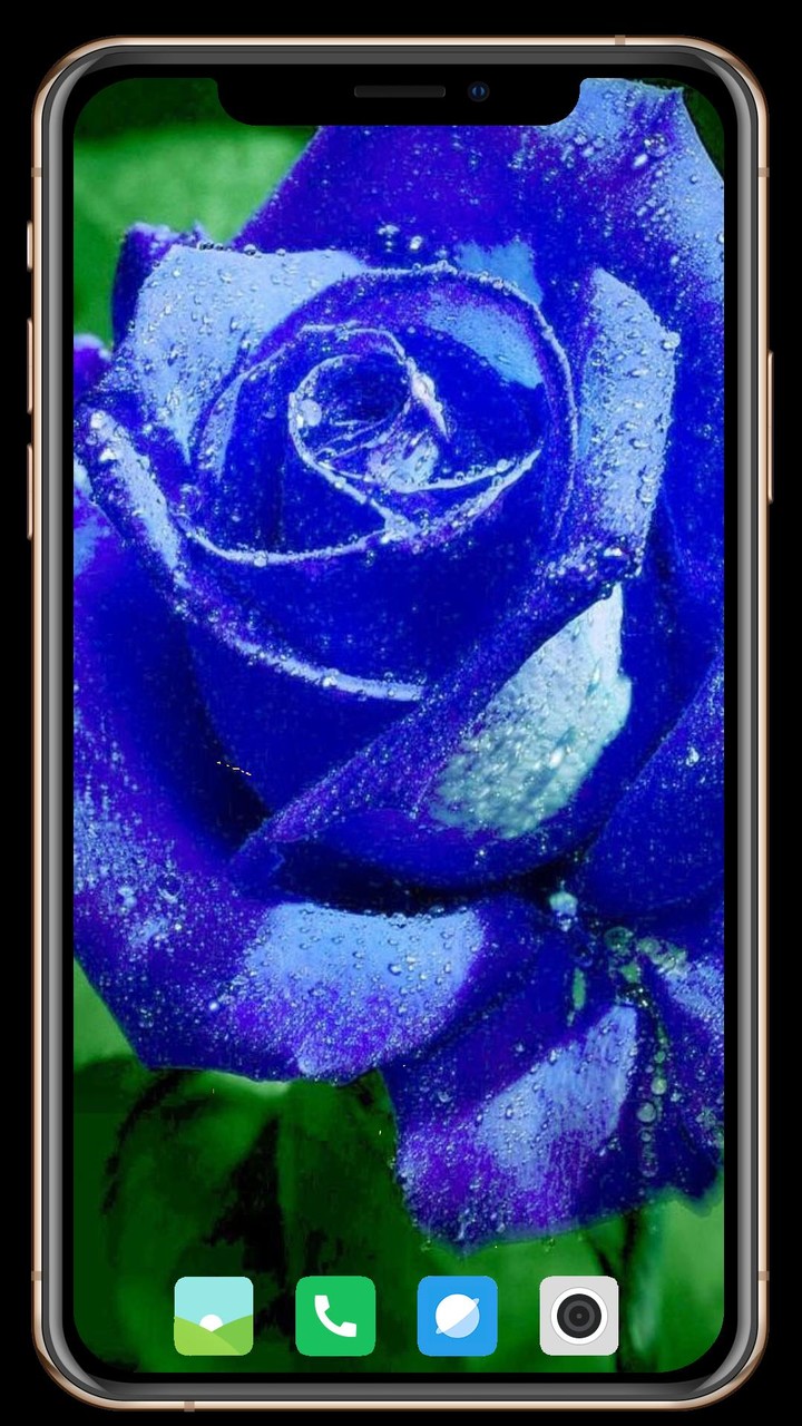 Salons Nearby screenshot image 6_Popularmodapk.com