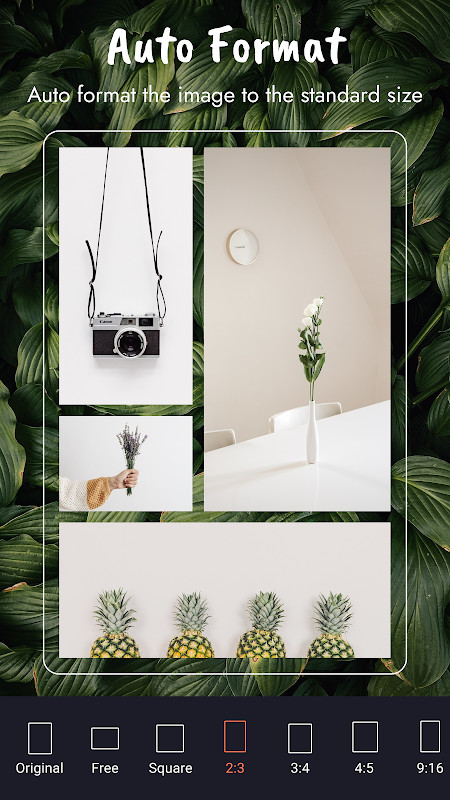 MoArt: Video Story Maker screenshot image 4_Popularmodapk.com