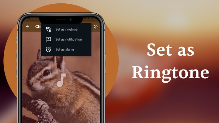 Chipmunk Sounds screenshot image 9_Popularmodapk.com