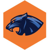 Panthera Crypto Wallet9.4_Popularmodapk.com