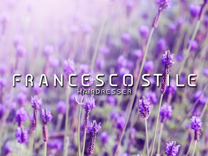 Francesco Stile screenshot image 11_Popularmodapk.com