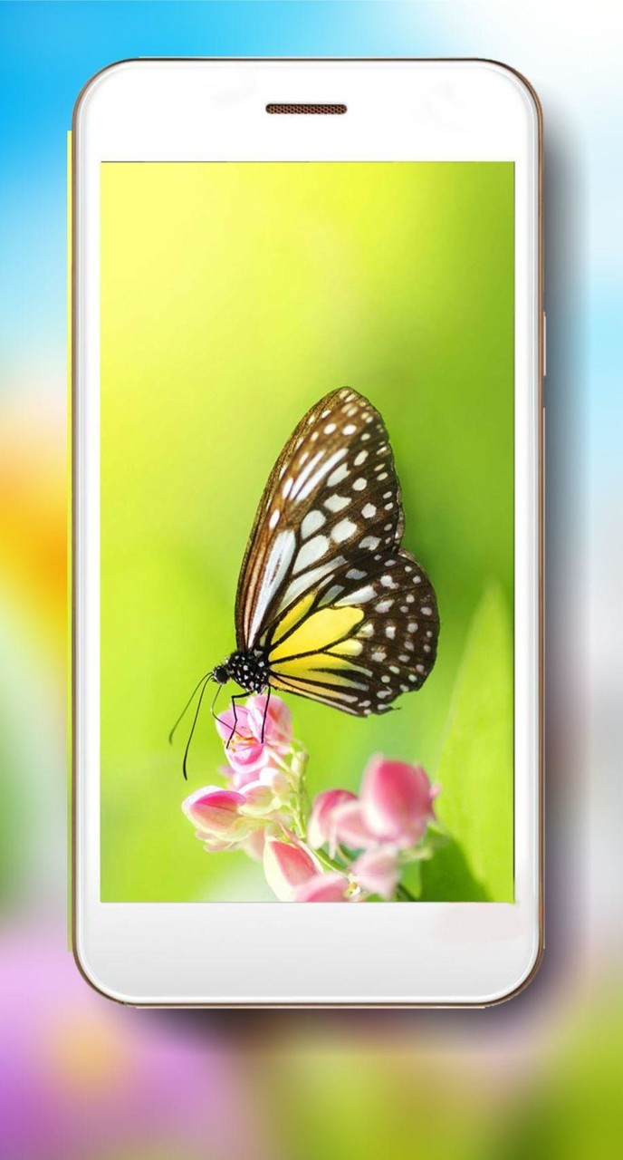 Summer Mood Live Wallpaper screenshot image 4_Popularmodapk.com