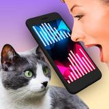 Cat Translator Simulator1.3.5_Popularmodapk.com