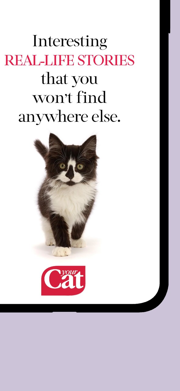 Your Cat Magazine screenshot image 4_Popularmodapk.com