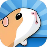 Guinea Pig Bridge!9.2.4_Popularmodapk.com