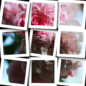 Pekob Pro: Browser Anti Blokir screenshot image 2_Popularmodapk.com