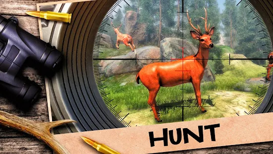 Animal Shooting : Wild Hunting<span>(Unlimited Money)</span> screenshot image 14_Popularmodapk.com