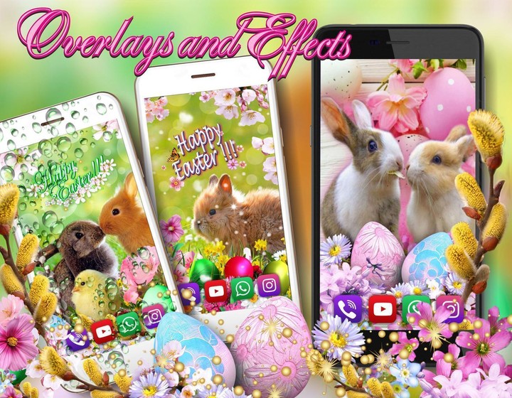 Easter Bunny Live wallpaper screenshot image 12_Popularmodapk.com