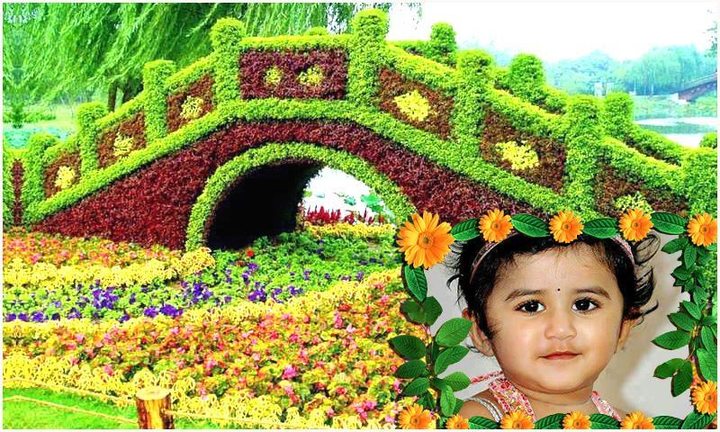 Beautiful Garden Photo Gallery screenshot image 4_Popularmodapk.com