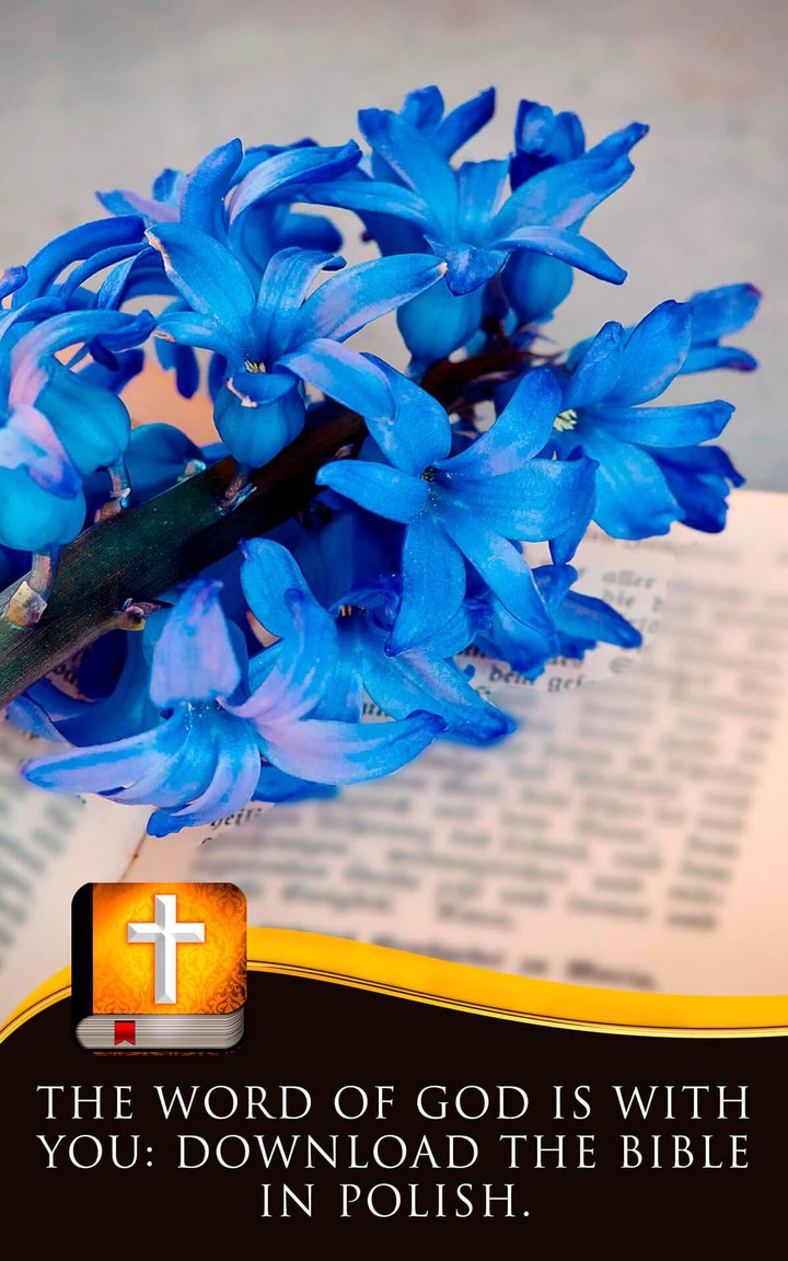 Polish Bible screenshot image 7_Popularmodapk.com