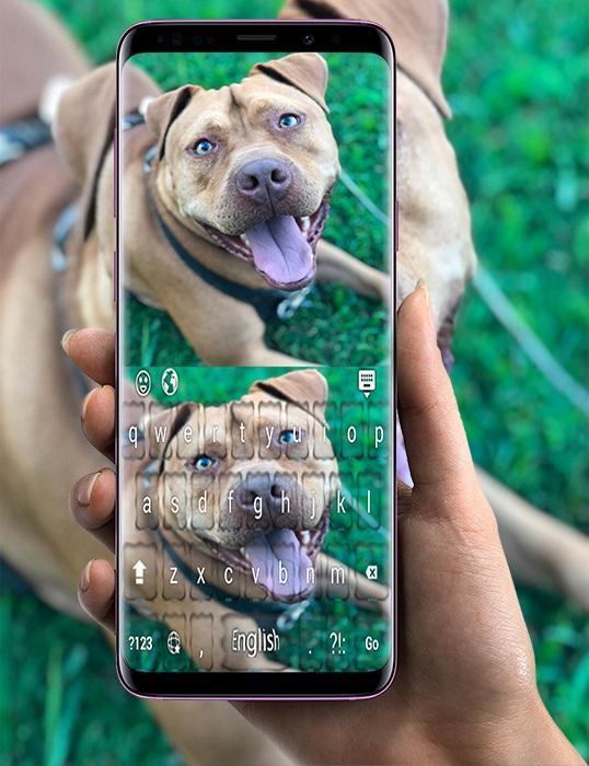 Biggest Pitbull Keyboard screenshot image 12_Popularmodapk.com