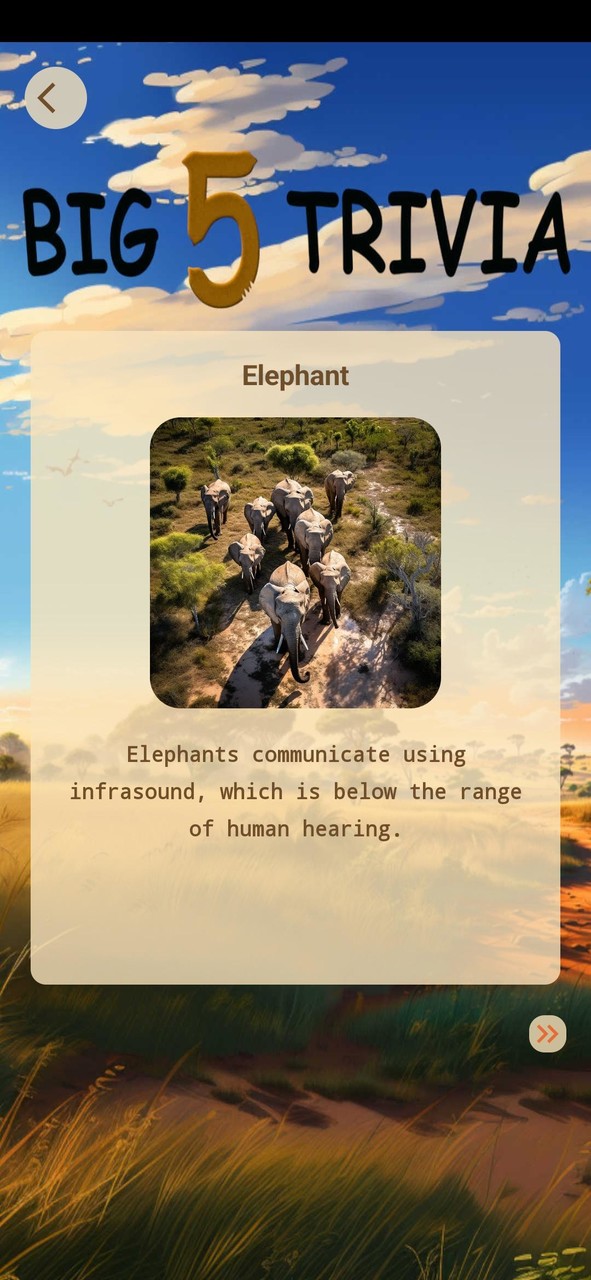 Big 5 Trivia screenshot image 3_Popularmodapk.com