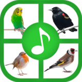 Birds Sounds And Ringtones1.2_Popularmodapk.com
