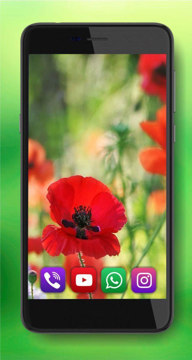 Summer Poppy lwp screenshot image 5_Popularmodapk.com